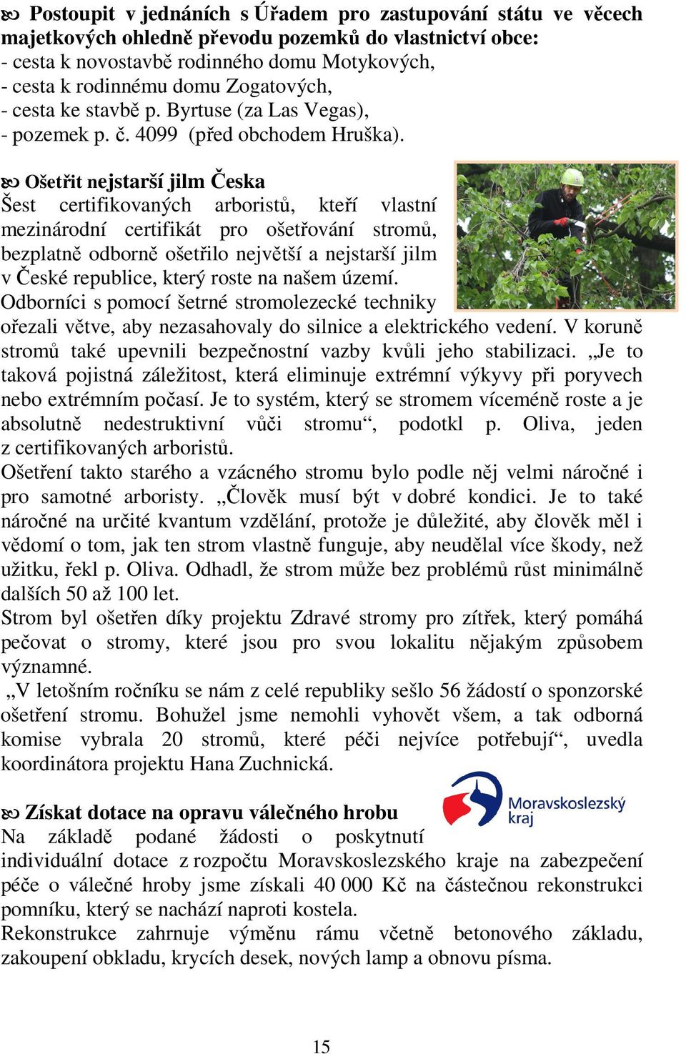 Ošetřit nejstarší jilm Česka Šest certifikovaných arboristů, kteří vlastní mezinárodní certifikát pro ošetřování stromů, bezplatně odborně ošetřilo největší a nejstarší jilm v České republice, který