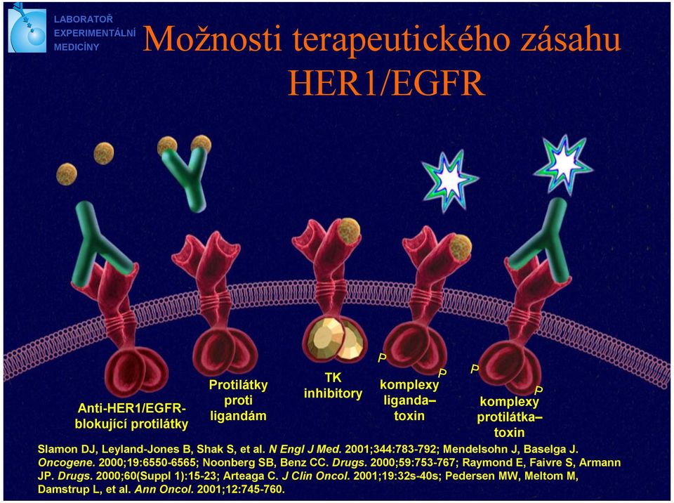 2001;344:783-792; Mendelsohn J, Baselga J. Oncogene. 2000;19:6550-6565; Noonberg SB, Benz CC. Drugs.