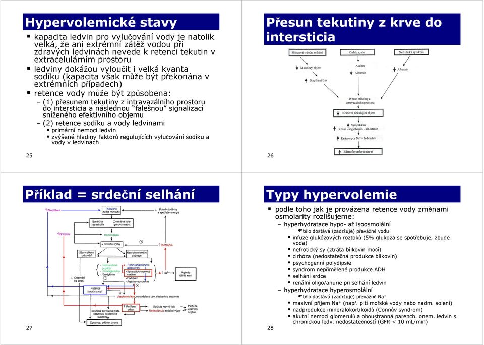 falešnou signalizací sníženého efektivního objemu () retence sodíku a vody ledvinami primární nemoci ledvin zvýšené hladiny faktorů regulujících vylučování sodíku a vody v ledvinách 5 Přesun tekutiny