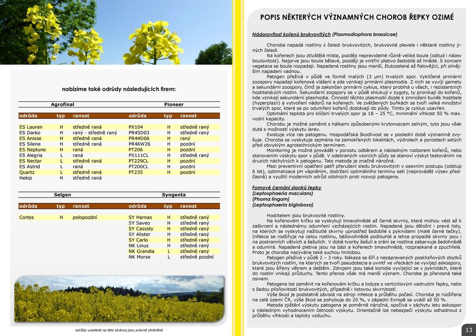 PT206 H pozdní ES Alegria L raná PX111CL H středně raný ES Nectar L středně raná PT229CL H pozdní ES Astrid L raná PT200CL H pozdní Quartz L středně raná PT235 H pozdní Hekip H středně raná Selgen