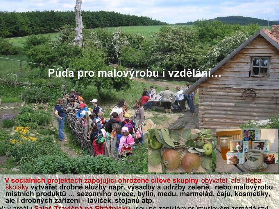 školáky vytvářet drobné služby např.