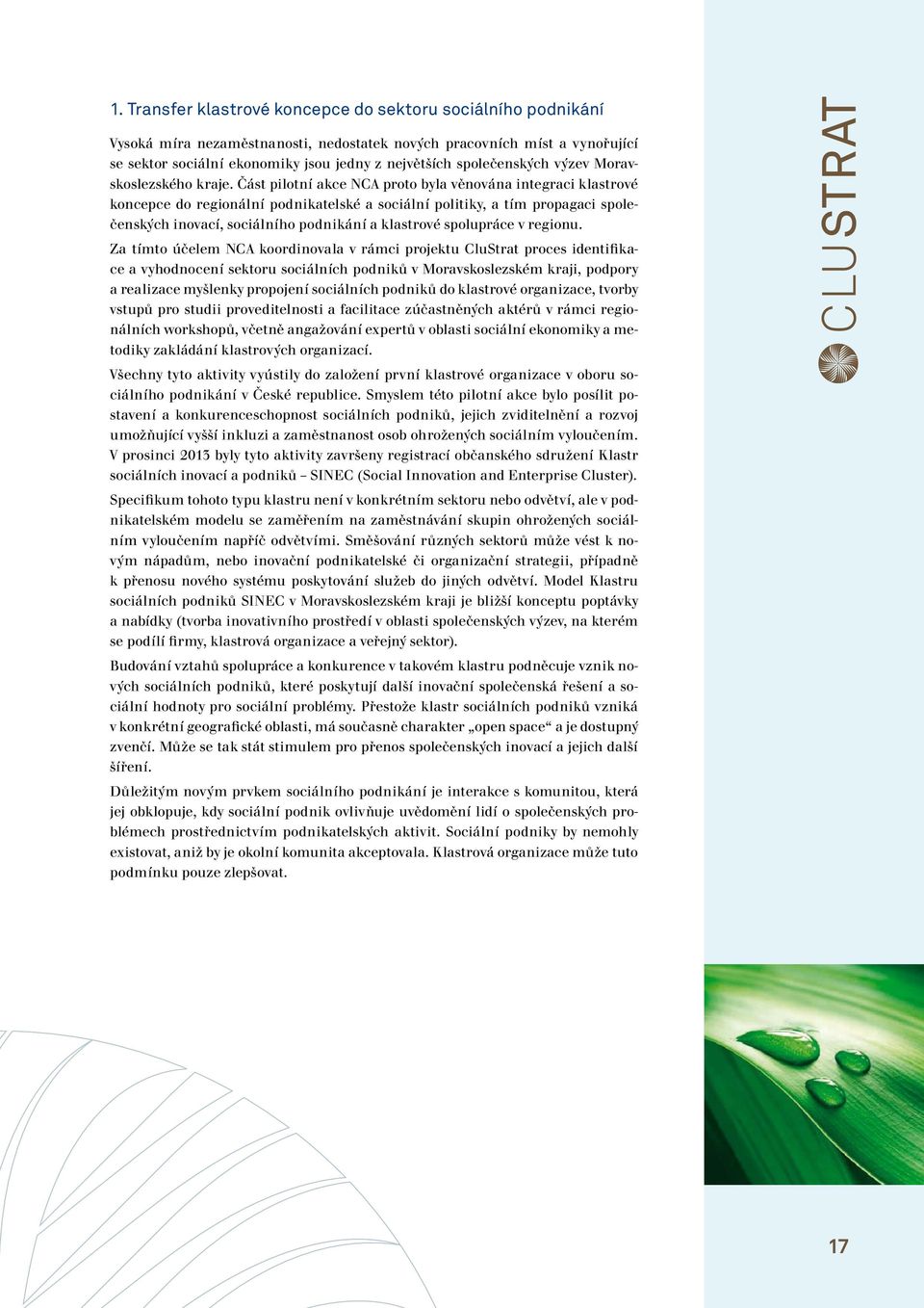 Část pilotní akce NCA proto byla věnována integraci klastrové koncepce do regionální podnikatelské a sociální politiky, a tím propagaci společenských inovací, sociálního podnikání a klastrové