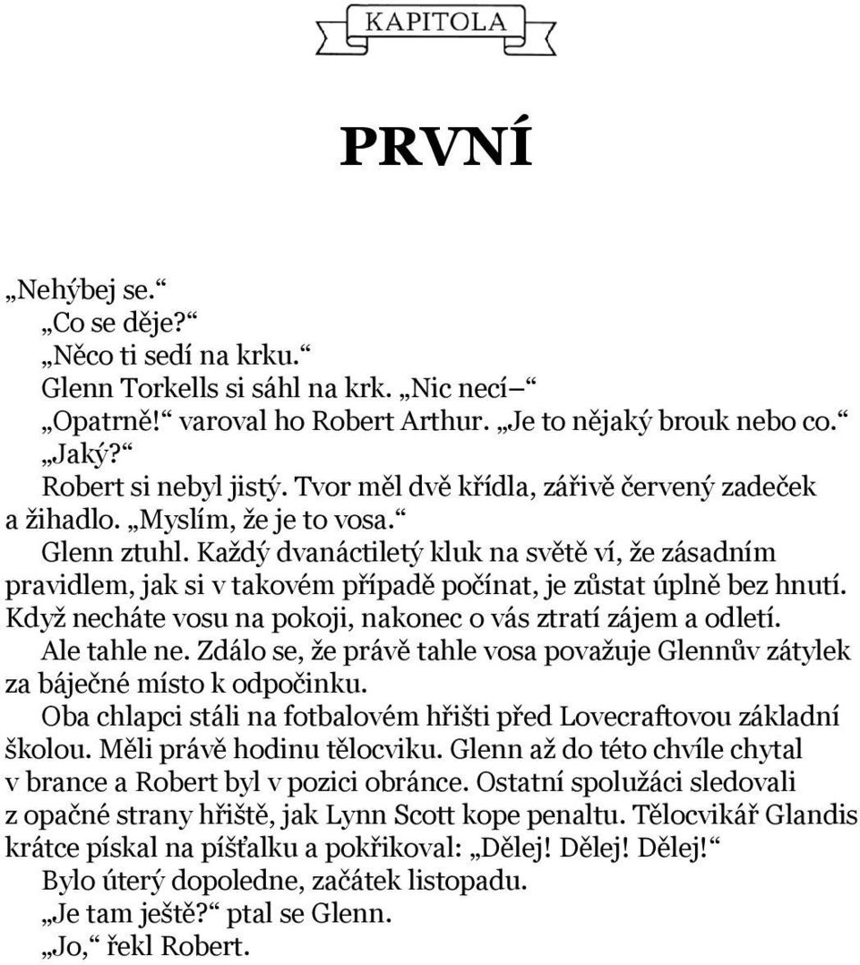 Každý dvanáctiletý kluk na světě ví, že zásadním pravidlem, jak si v takovém případě počínat, je zůstat úplně bez hnutí. Když necháte vosu na pokoji, nakonec o vás ztratí zájem a odletí. Ale tahle ne.