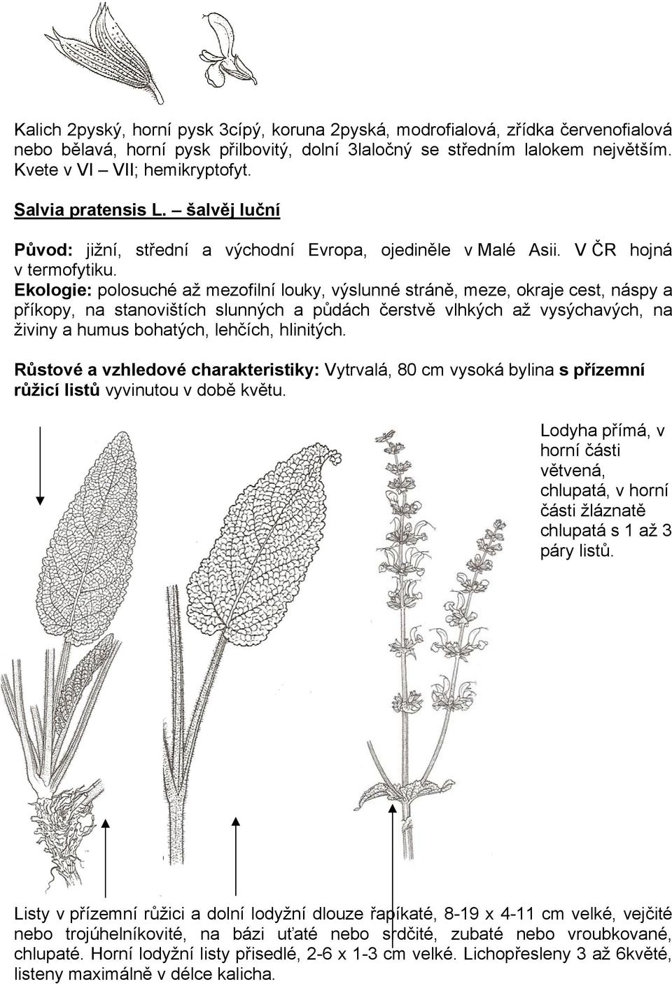 Ekologie: polosuché až mezofilní louky, výslunné stráně, meze, okraje cest, náspy a příkopy, na stanovištích slunných a půdách čerstvě vlhkých až vysýchavých, na živiny a humus bohatých, lehčích,