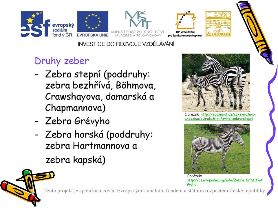 Hartmannova a zebra kapská) Obrázek: http://zoo.inext.