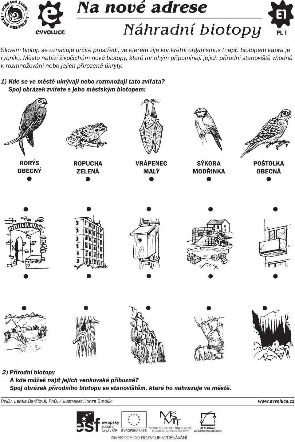 1) Kde se ve městě ukrývají nebo rozmnožují tato zvířata Spoj obrázek zvířete s jeho městským biotopem: RORÝS OBECNÝ ROPUCHA ZELENÁ VRÁPENEC MALÝ SÝKORA MODŘINKA POŠTOLKA