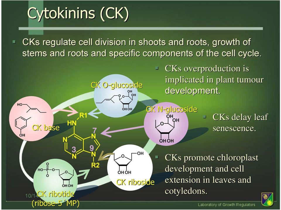 CK -glucoside HH CKs overproduction is implicated in plant tumour development.