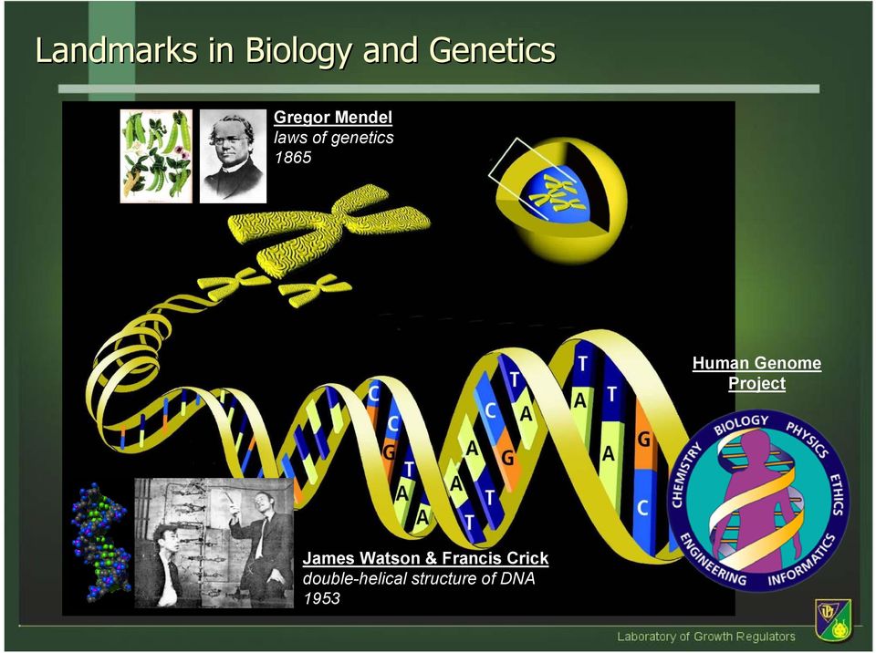 Human Genome Project James Watson &