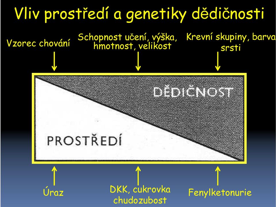 hmotnost, velikost Krevní skupiny, barva