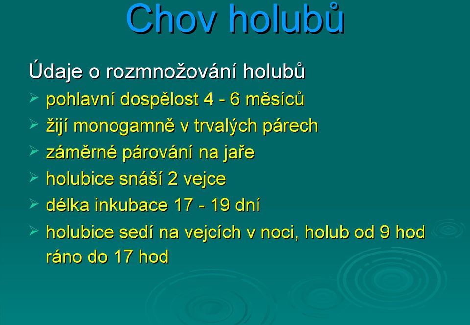 párování na jaře holubice snáší 2 vejce délka inkubace