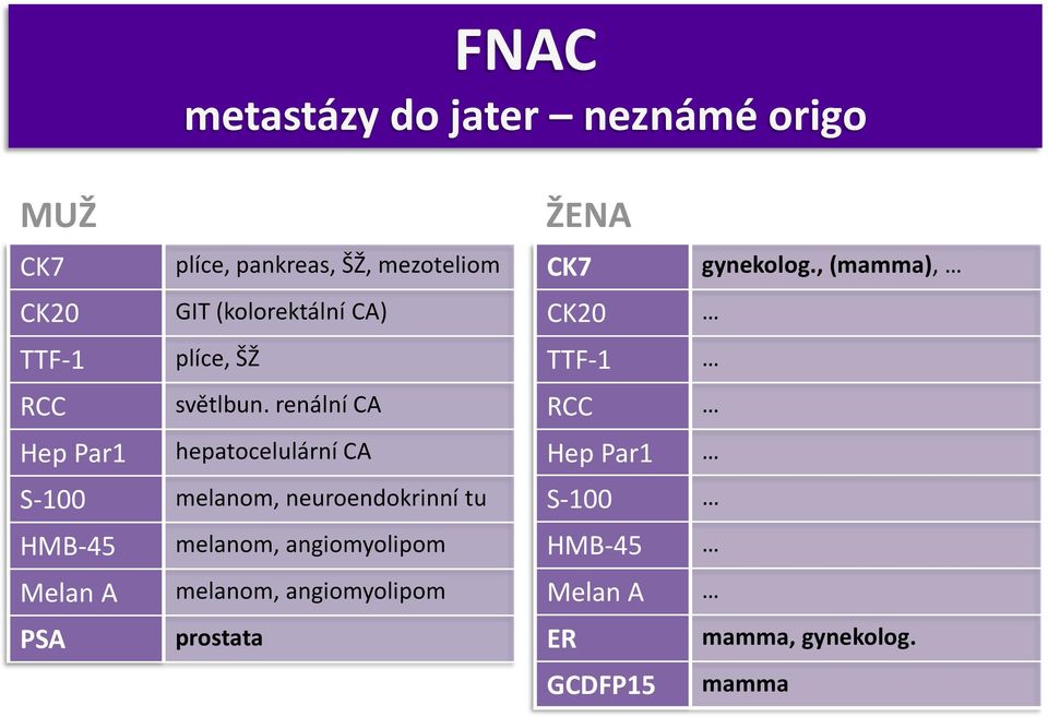 renální CA hepatocelulární CA S-100 melanom, neuroendokrinní tu HMB-45 Melan A PSA melanom,