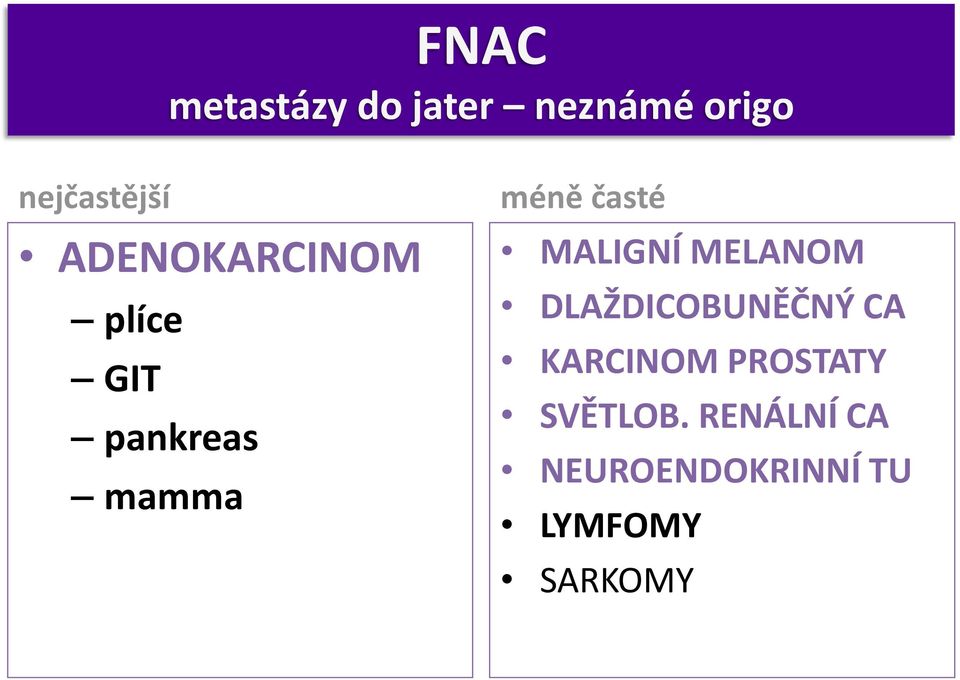 MALIGNÍ MELANOM DLAŽDICOBUNĚČNÝ CA KARCINOM