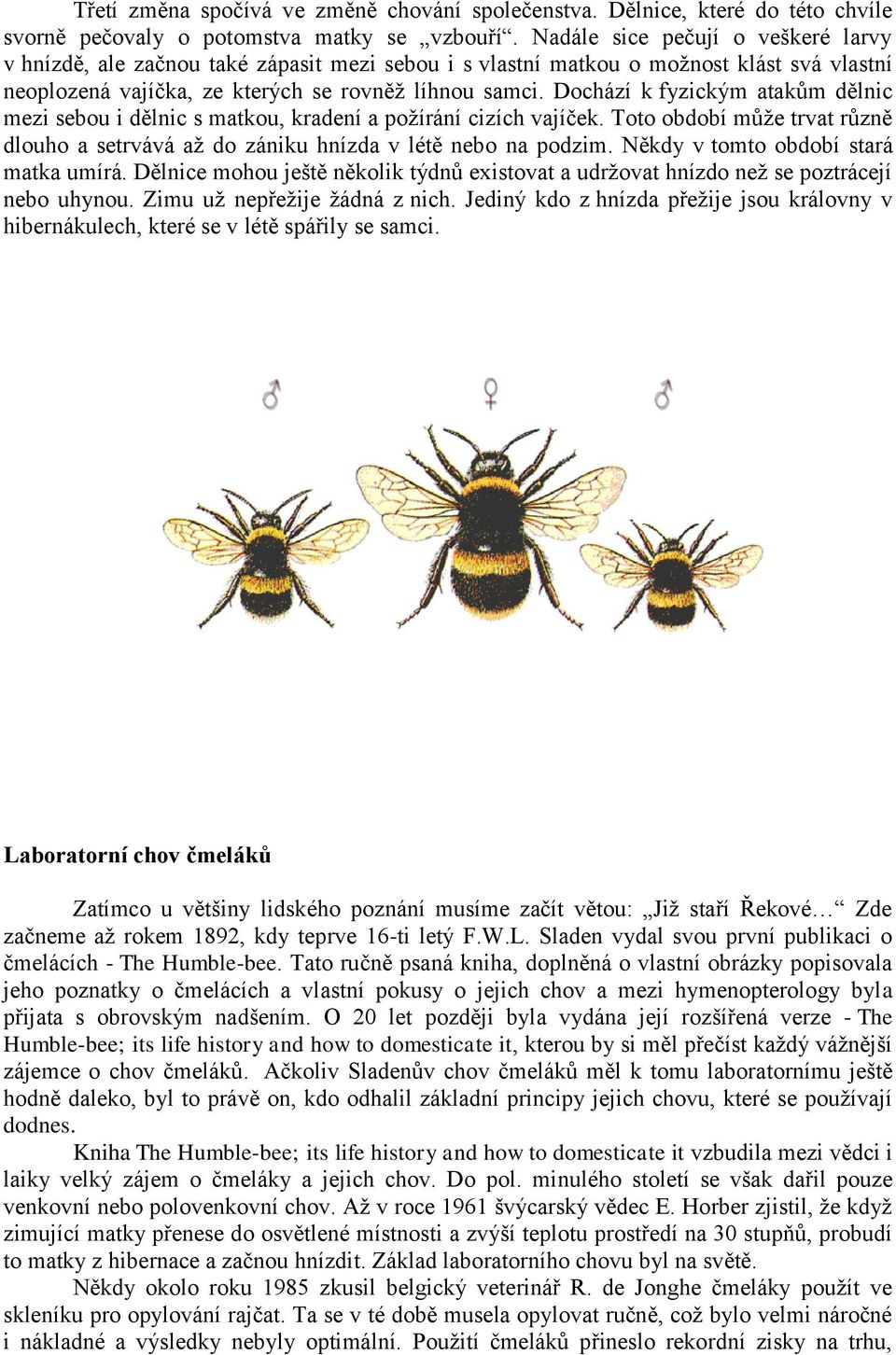 Dochází k fyzickým atakům dělnic mezi sebou i dělnic s matkou, kradení a požírání cizích vajíček. Toto období může trvat různě dlouho a setrvává až do zániku hnízda v létě nebo na podzim.