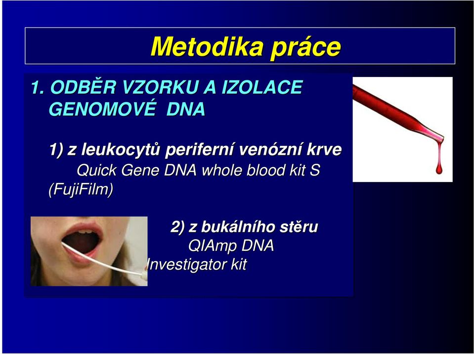 leukocytů periferní venózní krve Quick Gene