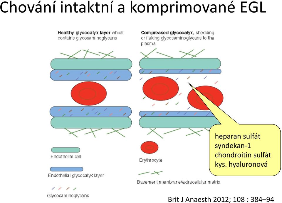 chondroitin sulfát kys.