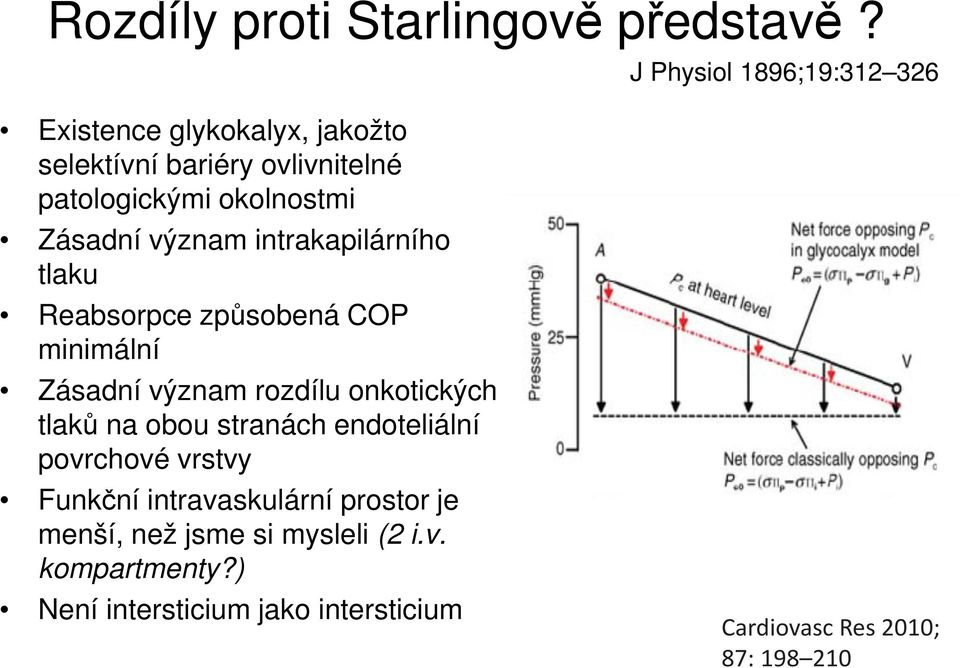 Zásadní význam intrakapilárního tlaku Reabsorpce způsobená COP minimální Zásadní význam rozdílu onkotických tlaků