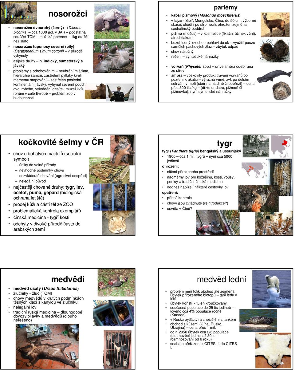 indický, sumaterský a jávský problémy s odrohováním neubrání mláďata, hierarchie samců, zastřelení pytláky kvůli marnému stopování zastřelen poslední kontinentální jávský, vyhynul severní poddruh