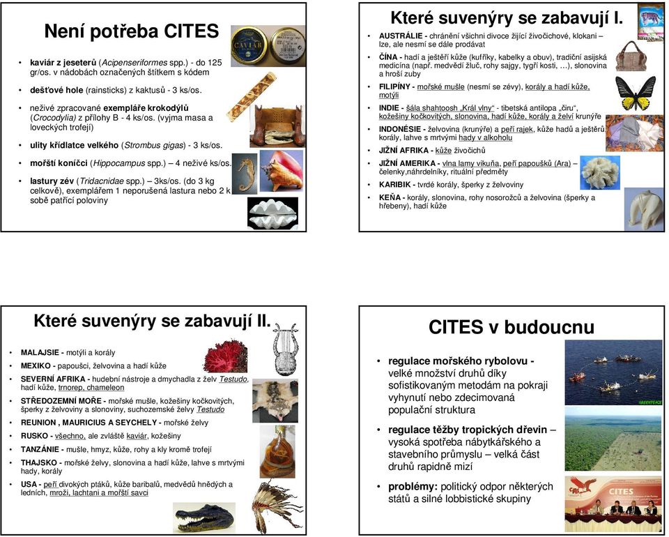 ) 4 neživé ks/os. lastury zév (Tridacnidae spp.) 3ks/os. (do 3 kg celkově), exemplářem 1 neporušená lastura nebo 2 k sobě patřící poloviny Které suvenýry se zabavují I.