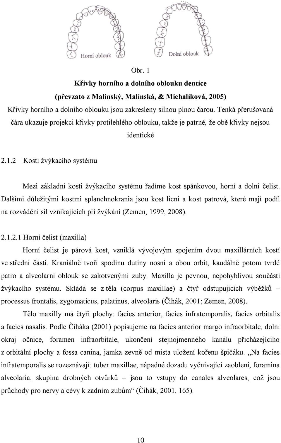 2 Kosti žvýkacího systému Mezi základní kosti žvýkacího systému řadíme kost spánkovou, horní a dolní čelist.