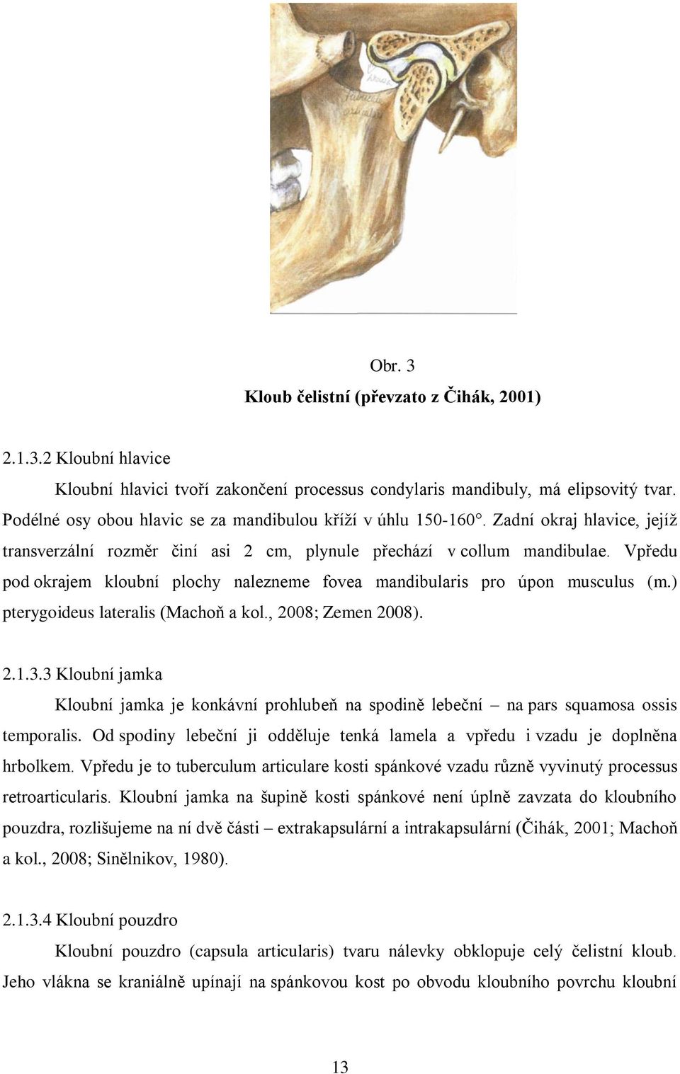 Vpředu pod okrajem kloubní plochy nalezneme fovea mandibularis pro úpon musculus (m.) pterygoideus lateralis (Machoň a kol., 2008; Zemen 2008). 2.1.3.