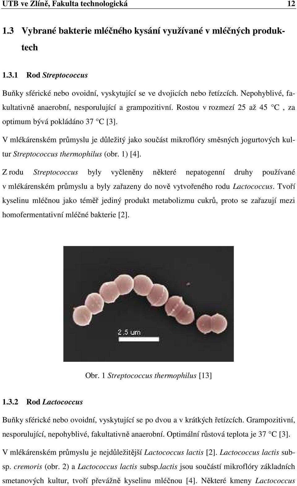 V mlékárenském průmyslu je důležitý jako součást mikroflóry směsných jogurtových kultur Streptococcus thermophilus (obr. 1) [4].