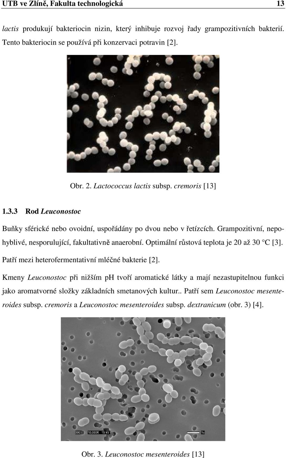 Optimální růstová teplota je 20 až 30 C [3]. Patří mezi heterofermentativní mléčné bakterie [2].