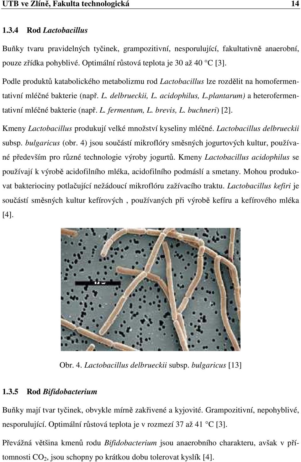 plantarum) a heterofermentativní mléčné bakterie (např. L. fermentum, L. brevis, L. buchneri) [2]. Kmeny Lactobacillus produkují velké množství kyseliny mléčné. Lactobacillus delbrueckii subsp.