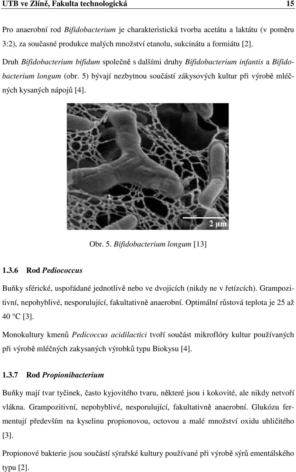 5) bývají nezbytnou součástí zákysových kultur při výrobě mléčných kysaných nápojů [4]. Obr. 5. Bifidobacterium longum [13]