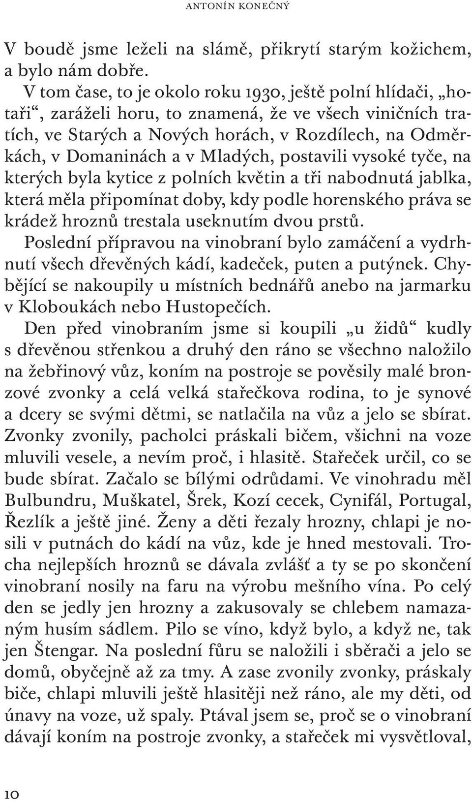 Mladých, postavili vysoké tyče, na kterých byla kytice z polních květin a tři nabodnutá jablka, která měla připomínat doby, kdy podle horenského práva se krádež hroznů trestala useknutím dvou prstů.