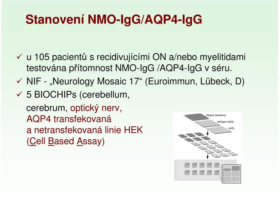 NIF - Neurology Mosaic 17 (Euroimmun, Lübeck, D) 5 BIOCHIPs (cerebellum,