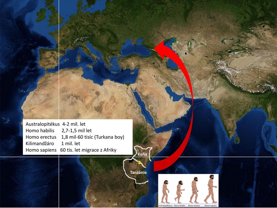 1,8 mil-60 tisíc (Turkana boy) Kilimandžáro 1