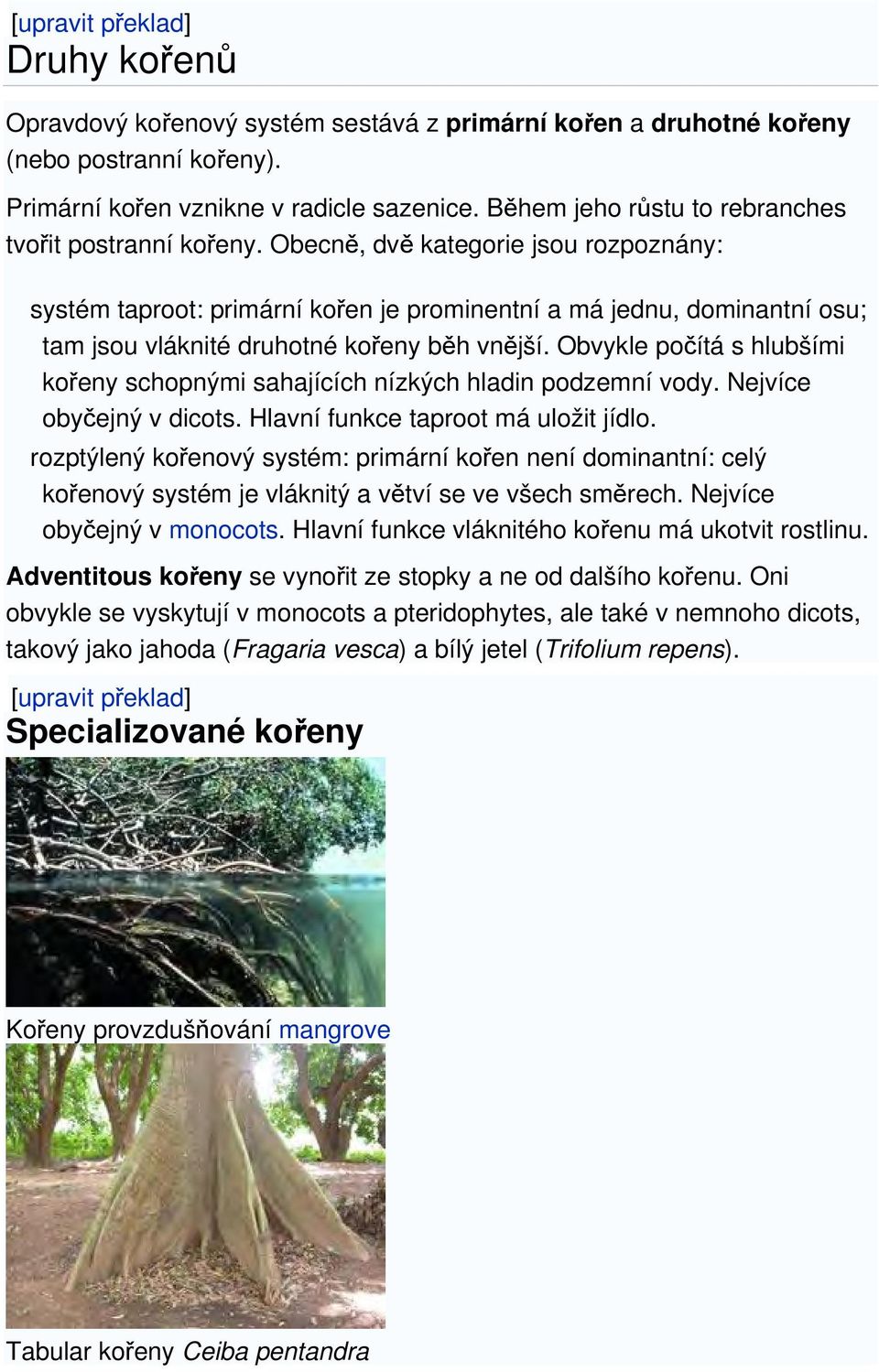 Obecně, dvě kategorie jsou rozpoznány: systém taproot: primární kořen je prominentní a má jednu, dominantní osu; tam jsou vláknité druhotné kořeny běh vnější.