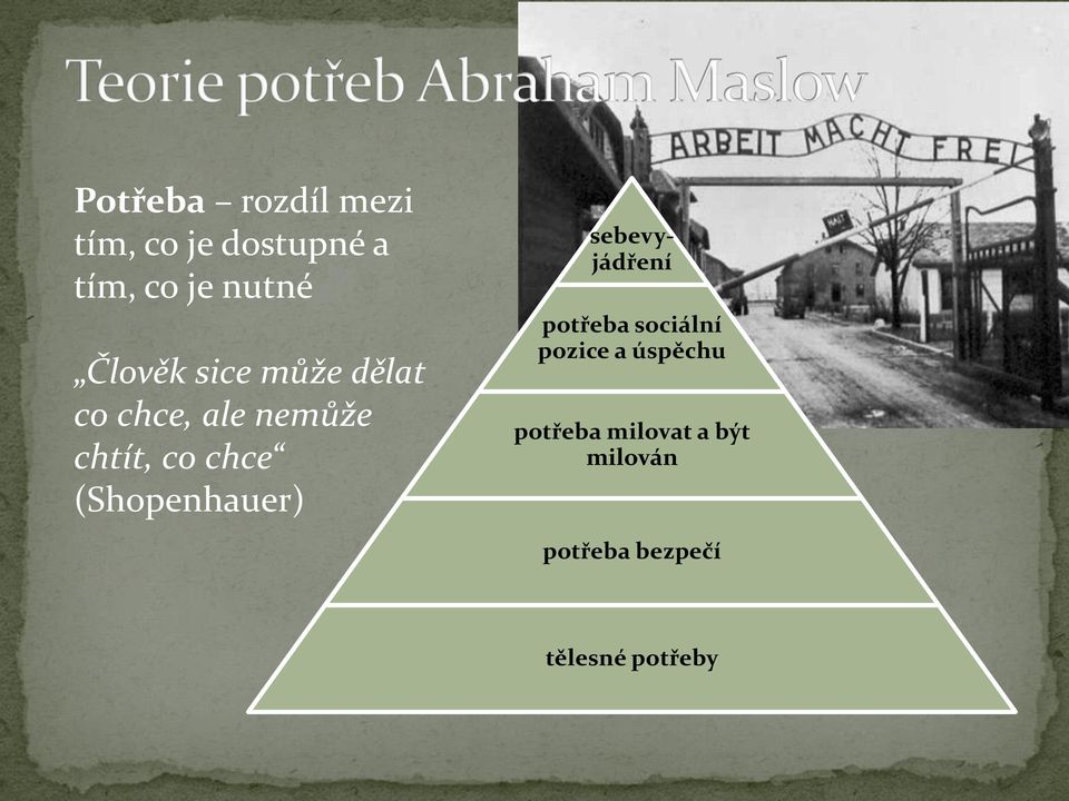 (Shopenhauer) sebevyjádření potřeba sociální pozice a