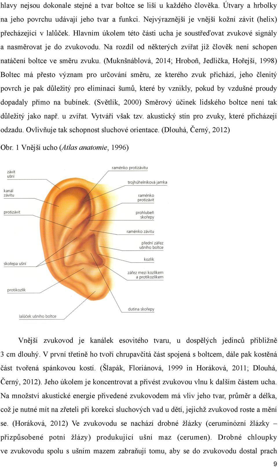 (Muknšnáblová, 2014; Hroboň, Jedlička, Hořejší, 1998) Boltec má přesto význam pro určování směru, ze kterého zvuk přichází, jeho členitý povrch je pak důležitý pro eliminaci šumů, které by vznikly,