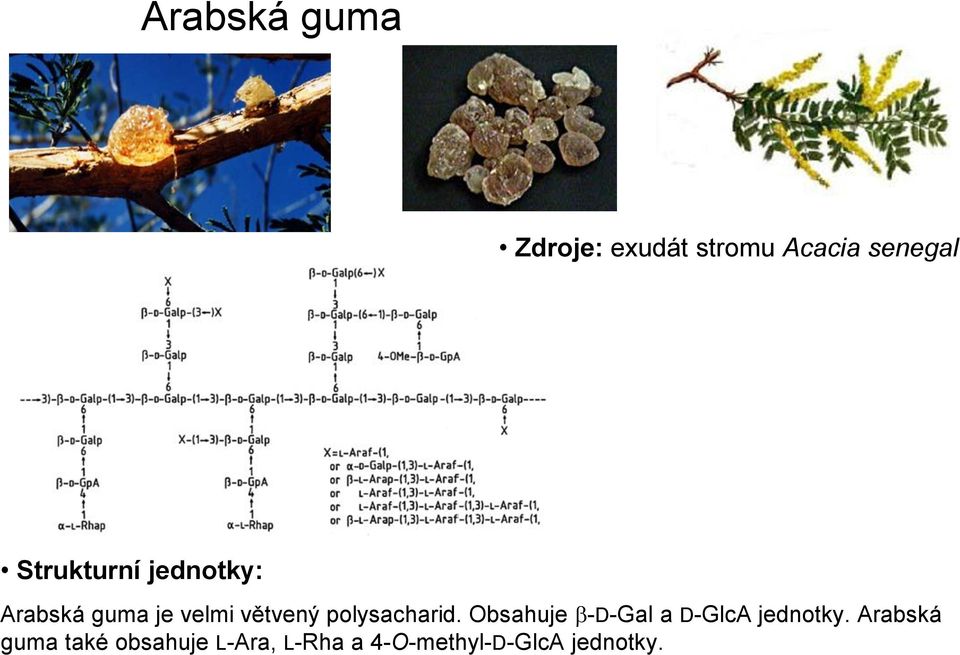 polysacharid. bsahuje -D-Gal a D-GlcA jednotky.