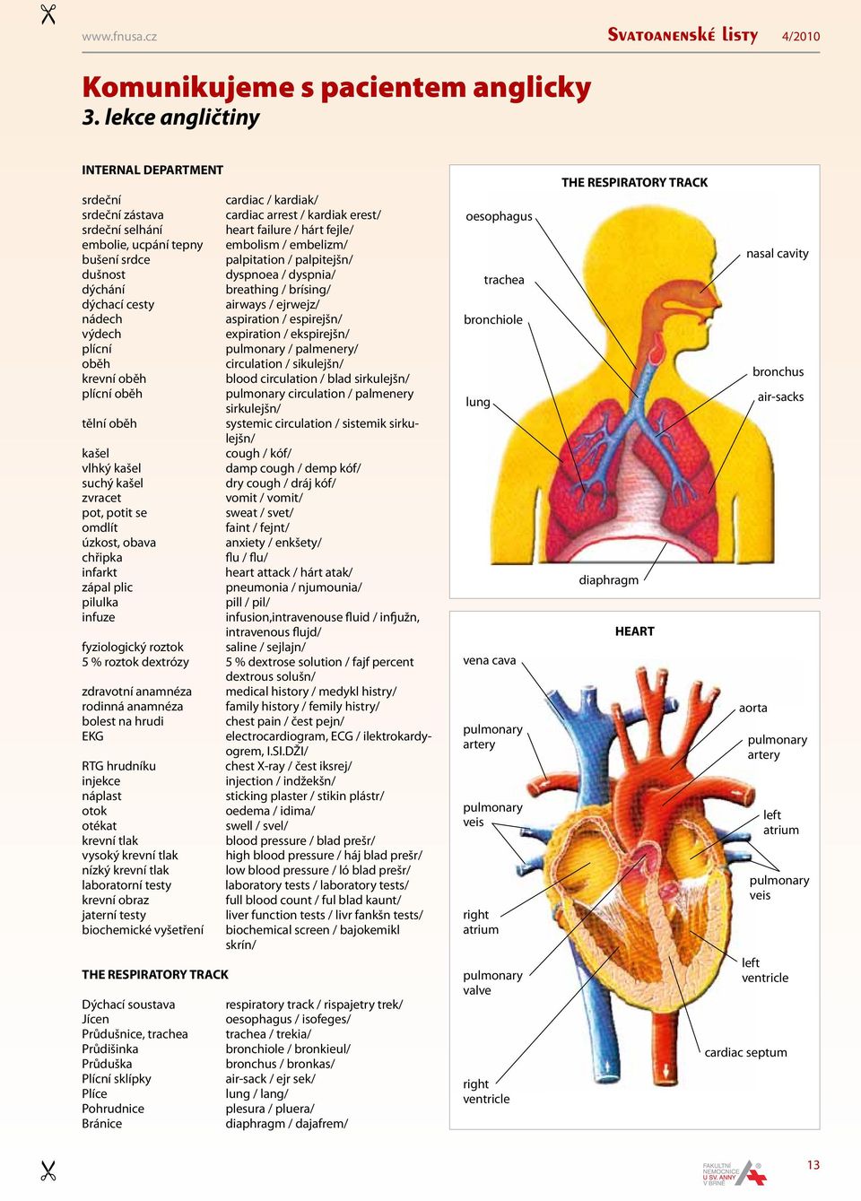 bušení srdce palpitation / palpitejšn/ dušnost dyspnoea / dyspnia/ dýchání breathing / brísing/ dýchací cesty airways / ejrwejz/ nádech aspiration / espirejšn/ výdech expiration / ekspirejšn/ plícní