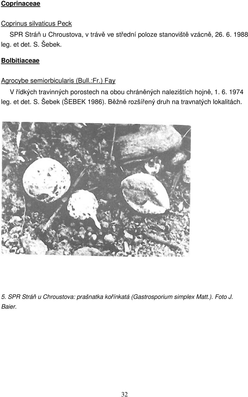 ) Fay V řídkých travinných porostech na obou chráněných nalezištích hojně, 1. 6. 1974 leg. et det. S.