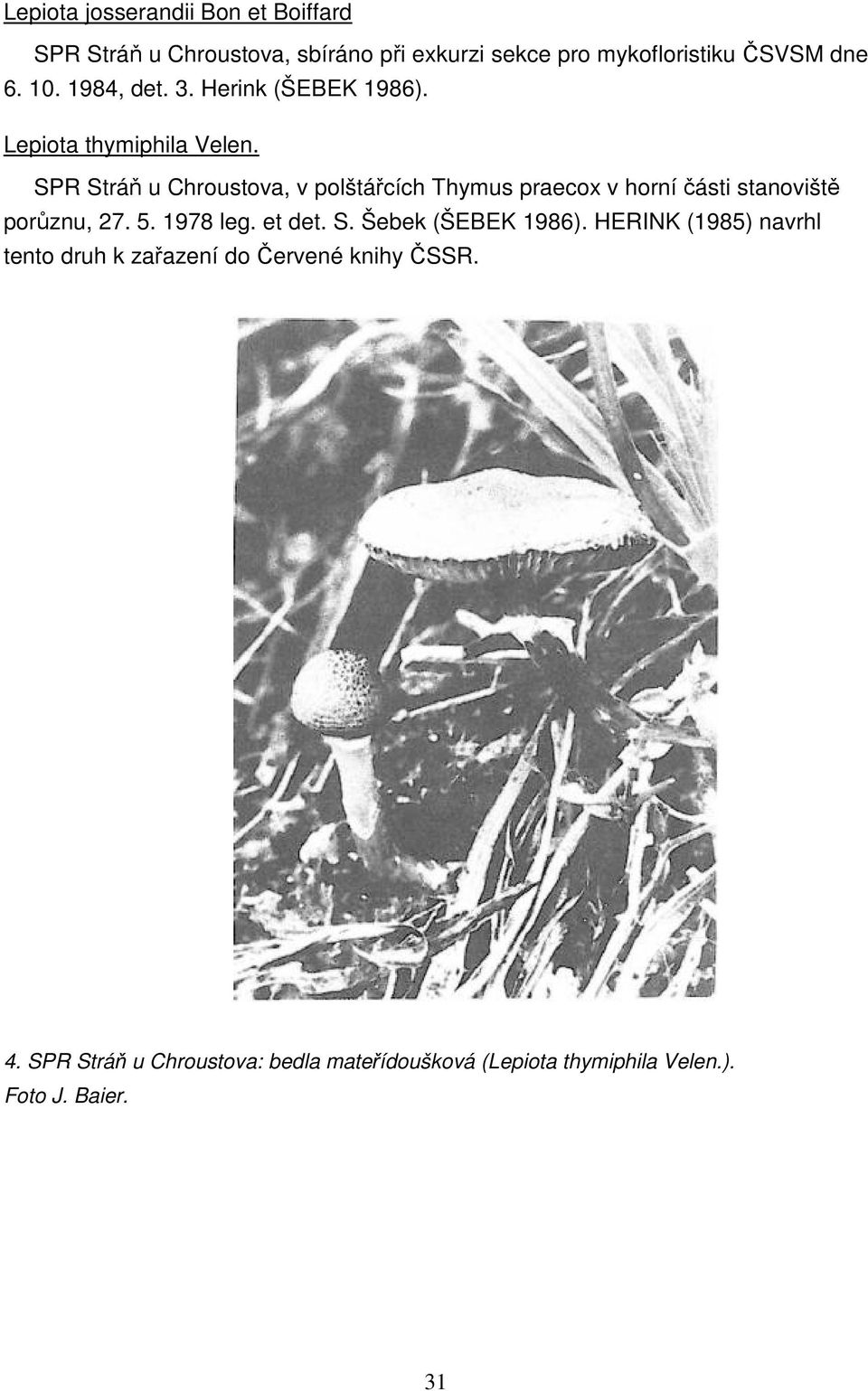 SPR Stráň u Chroustova, v polštářcích Thymus praecox v horní části stanoviště porůznu, 27. 5. 1978 leg. et det. S. Šebek (ŠEBEK 1986).