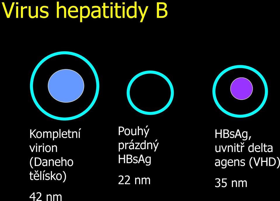 Pouhý prázdný HBsAg 22 nm