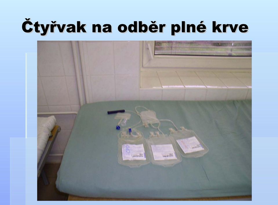 plné krve