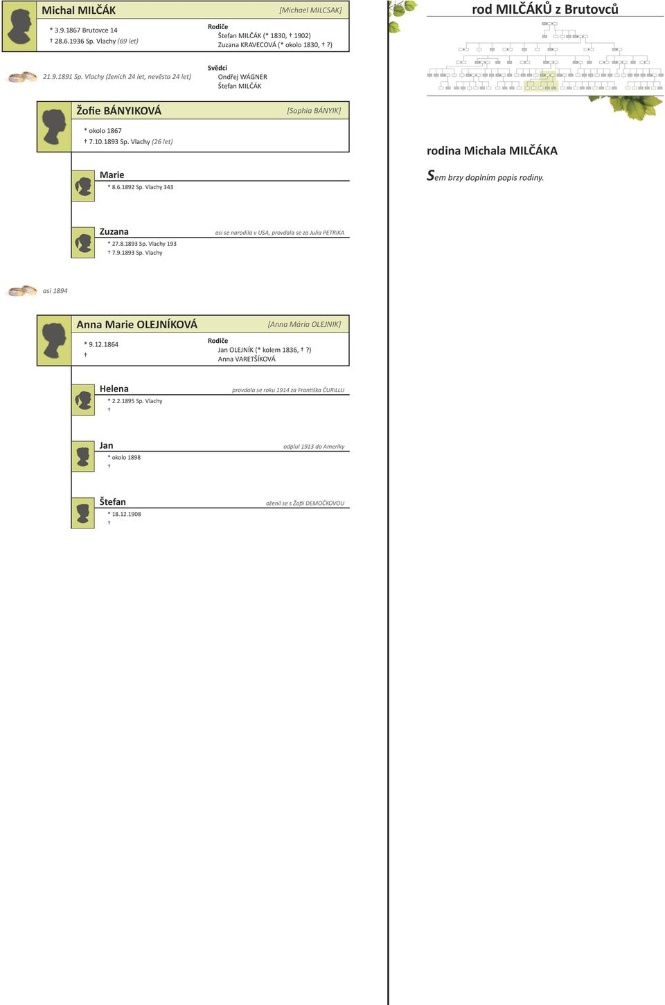 Vlachy 343 rodina Michala MILČÁKA Zuzana * 27.8.1893 Sp. Vlachy 193 7.9.1893 Sp. Vlachy asi se narodila v USA, provdala se za Julia PETRIKA asi 1894 Anna OLEJNÍKOVÁ * 9.12.