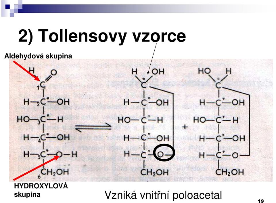 HYDROXYLOVÁ skupina