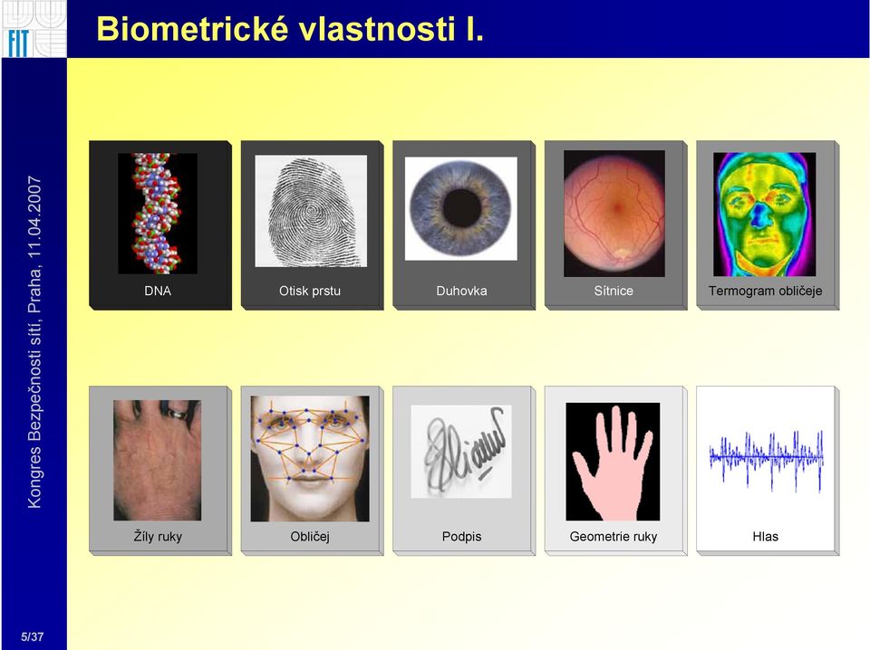 Termogram obličeje Žíly ruky