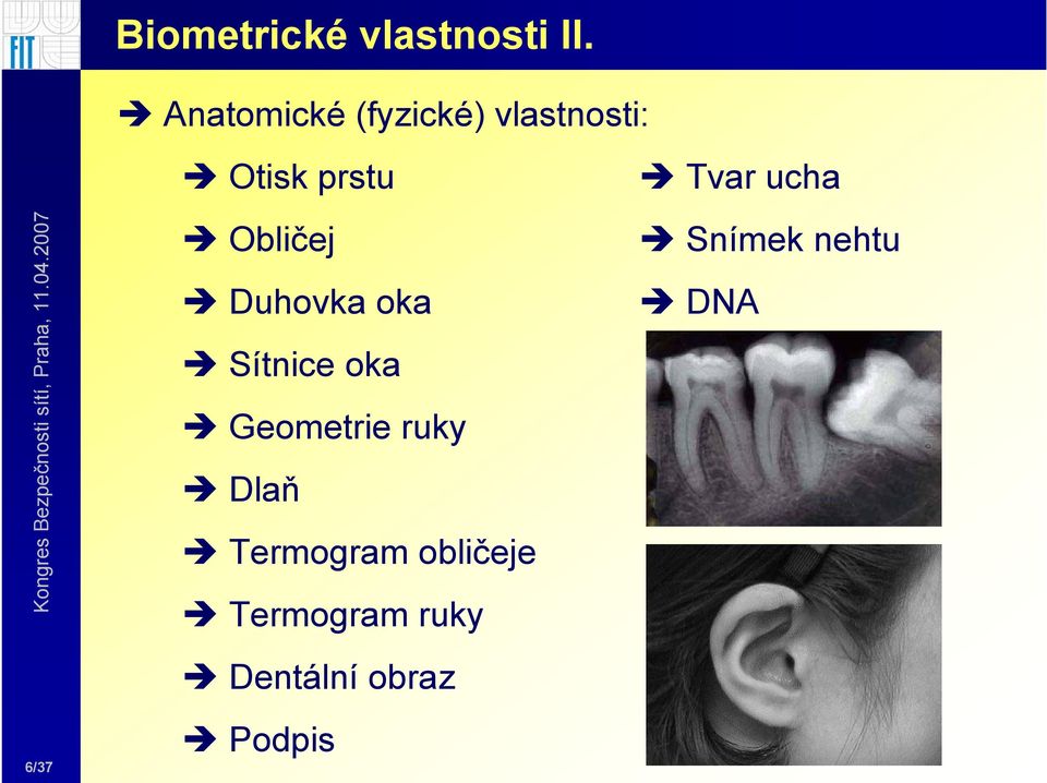 Obličej Duhovka oka Sítnice oka Geometrie ruky Dlaň