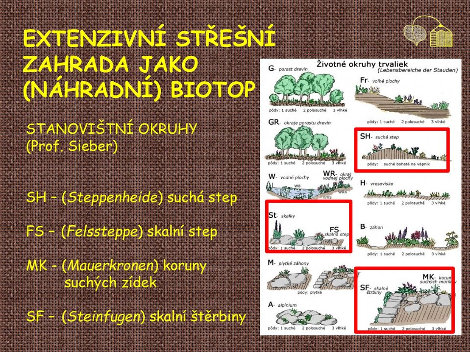 Sieber) SH (Steppenheide) suchá step FS (Felssteppe)