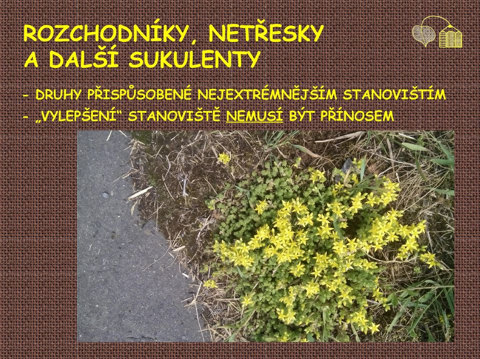 NEJEXTRÉMNĚJŠÍM STANOVIŠTÍM -