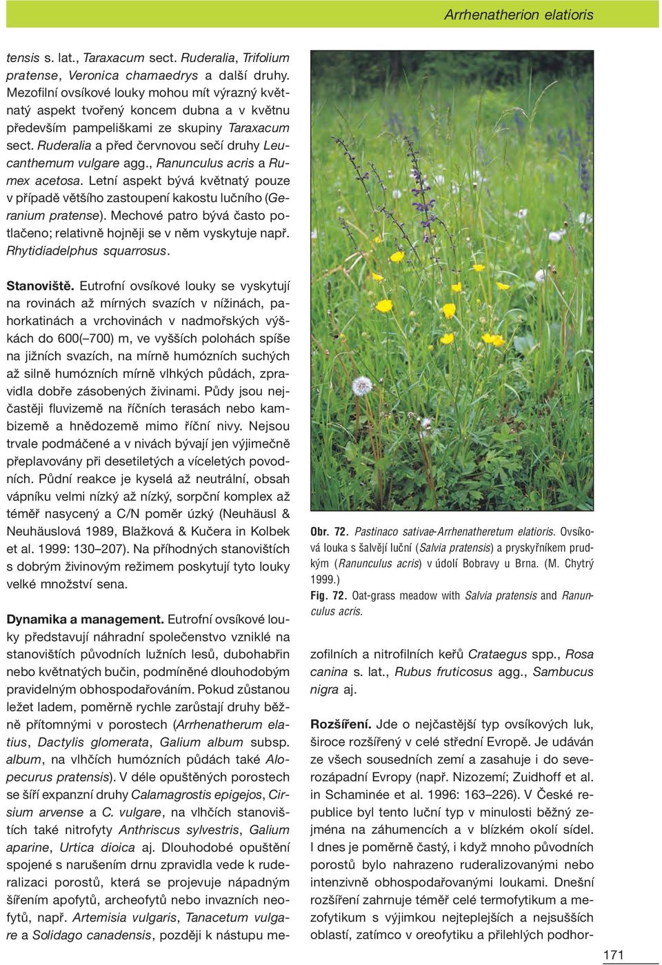 Ruderalia a před červnovou sečí druhy Leucanthemum vulgare agg., Ranunculus acris a Rumex acetosa. Letní aspekt bývá květnatý pouze v případě většího zastoupení kakostu lučního (Geranium pratense).