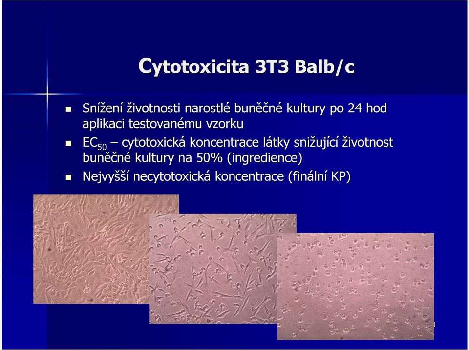 cytotoxická koncentrace látky snižující životnost buněčné