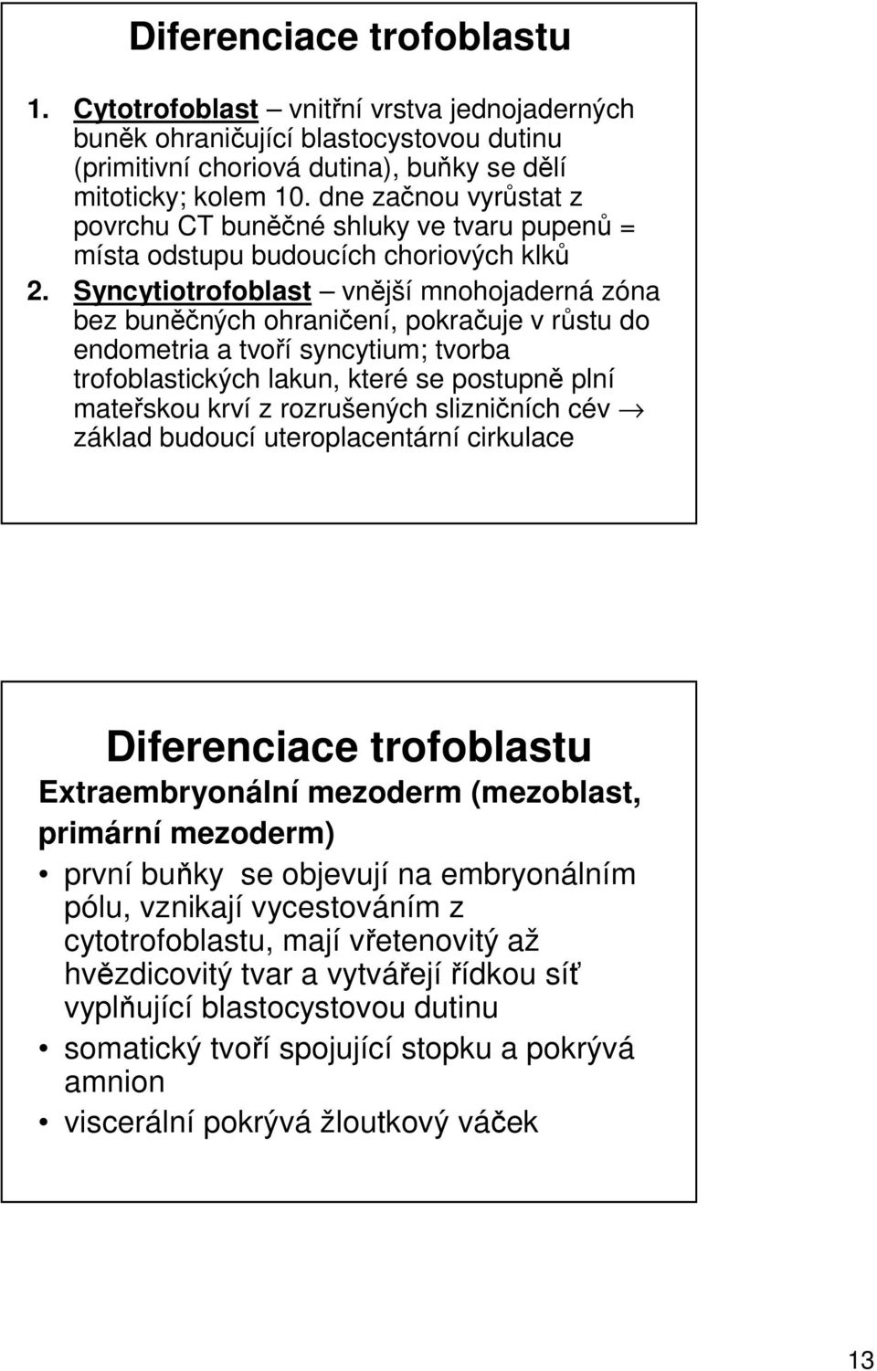 Syncytiotrofoblast vnější mnohojaderná zóna bez buněčných ohraničení, pokračuje v růstu do endometria a tvoří syncytium; tvorba trofoblastických lakun, které se postupně plní mateřskou krví z