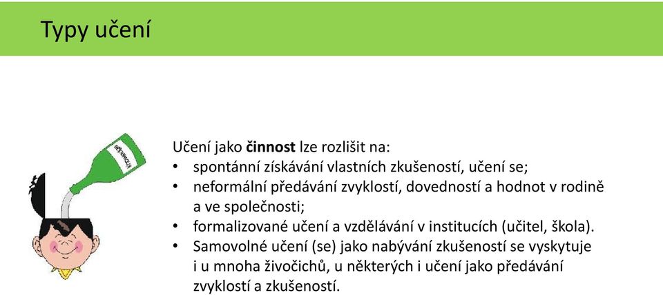 formalizované učení a vzdělávání v institucích (učitel, škola).